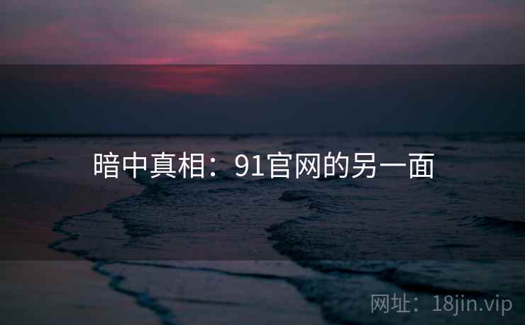 暗中真相：91官网的另一面