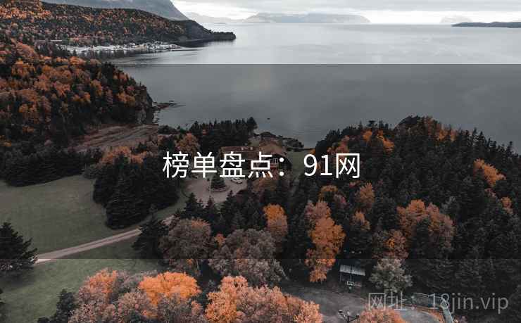 榜单盘点：91网