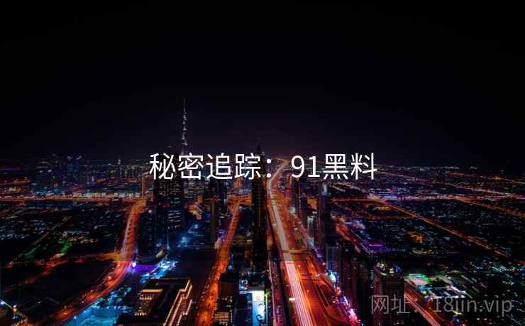 秘密追踪：91黑料