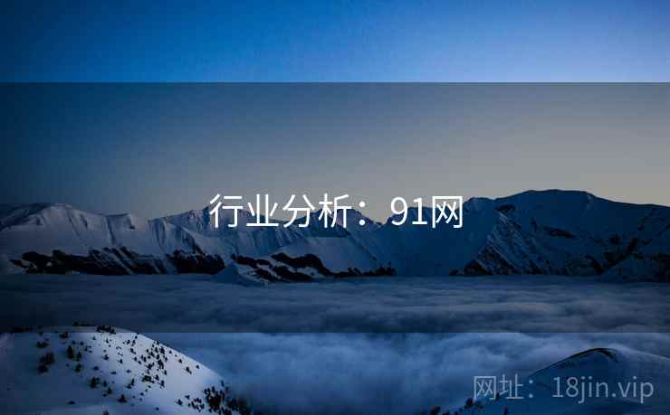 行业分析：91网