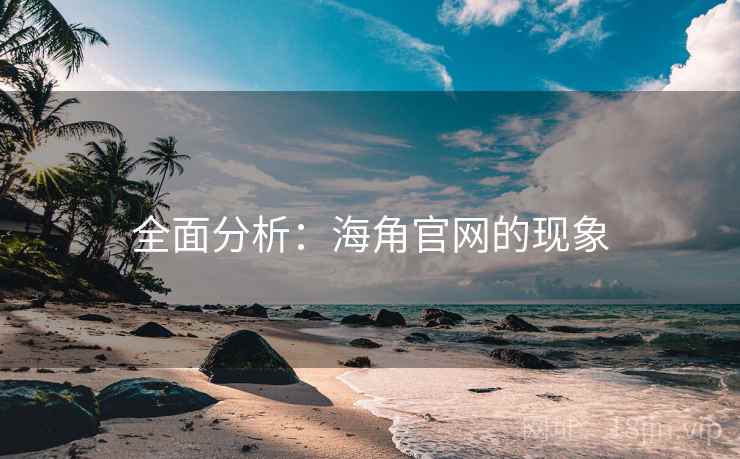 全面分析：海角官网的现象