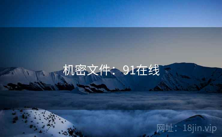 机密文件：91在线