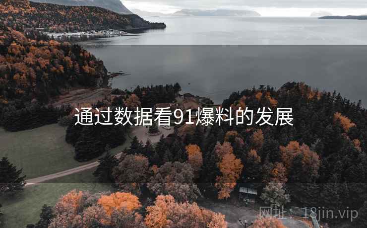 通过数据看91爆料的发展