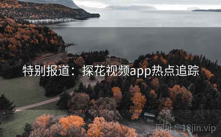 特别报道：探花视频app热点追踪
