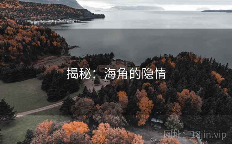 揭秘：海角的隐情